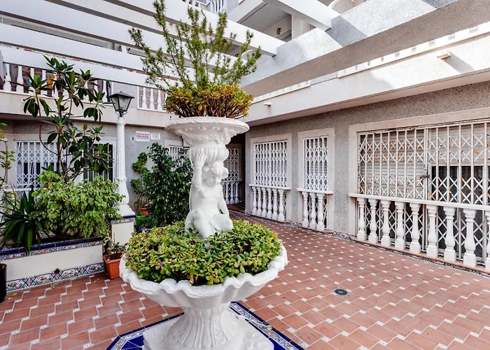 Daire целиком, отличная студия, в 3 мин от пляжа 230 м,торревьеха в 3 мин от пляжа 230 м, торревьеха *